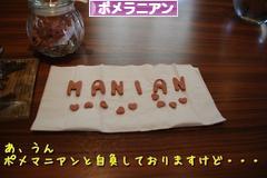 にほんブログ村 犬ブログ ポメラニアンへ