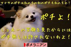 にほんブログ村 犬ブログ ポメラニアンへ