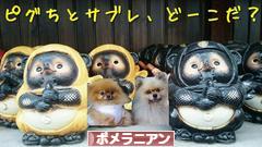 にほんブログ村 犬ブログ ポメラニアンへ