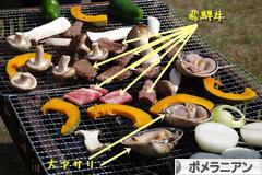 にほんブログ村 犬ブログ ポメラニアンへ