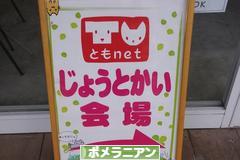 にほんブログ村 犬ブログ ポメラニアンへ
