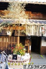 にほんブログ村 犬ブログ ポメラニアンへ