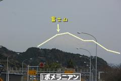 にほんブログ村 犬ブログ ポメラニアンへ