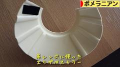 にほんブログ村 犬ブログ ポメラニアンへ