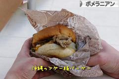 にほんブログ村 犬ブログ ポメラニアンへ