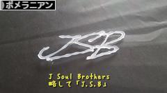 にほんブログ村 犬ブログ ポメラニアンへ