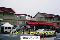 にほんブログ村 犬ブログ ポメラニアンへ