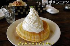 にほんブログ村 犬ブログ ポメラニアンへ