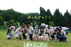 にほんブログ村 犬ブログ ポメラニアンへ