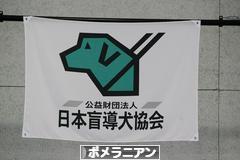 にほんブログ村 犬ブログ ポメラニアンへ