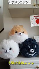 にほんブログ村 犬ブログ ポメラニアンへ