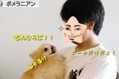 にほんブログ村 犬ブログ ポメラニアンへ