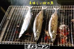 にほんブログ村 犬ブログ ポメラニアンへ