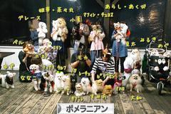 にほんブログ村 犬ブログ ポメラニアンへ