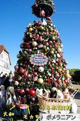 にほんブログ村 犬ブログ ポメラニアンへ