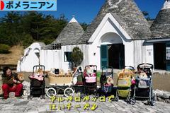 にほんブログ村 犬ブログ ポメラニアンへ