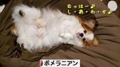 にほんブログ村 犬ブログ ポメラニアンへ