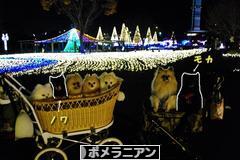 にほんブログ村 犬ブログ ポメラニアンへ