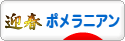 にほんブログ村 犬ブログ ポメラニアンへ