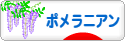 にほんブログ村 犬ブログ ポメラニアンへ