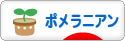 にほんブログ村 犬ブログ ポメラニアンへ