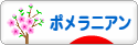 にほんブログ村 犬ブログ ポメラニアンへ