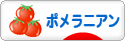 にほんブログ村 犬ブログ ポメラニアンへ
