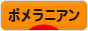 にほんブログ村 犬ブログ ポメラニアンへ