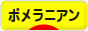 にほんブログ村 犬ブログ ポメラニアンへ