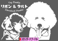 にほんブログ村 犬ブログ スタンダードプードルへ
