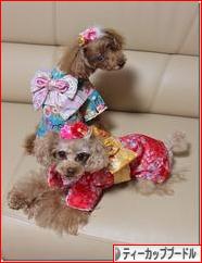 にほんブログ村 犬ブログ ティーカッププードルへ