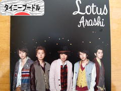 にほんブログ村 犬ブログ タイニープードルへ