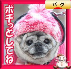 にほんブログ村 犬ブログ パグへ