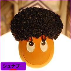 にほんブログ村 犬ブログ シュナプーへ