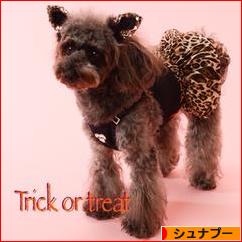 にほんブログ村 犬ブログ シュナプーへ