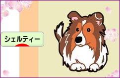 にほんブログ村 犬ブログ シェルティーへ