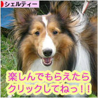 にほんブログ村 犬ブログ シェルティーへ