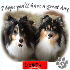 にほんブログ村 犬ブログ シェルティーへ