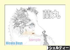 にほんブログ村 犬ブログ シェルティーへ