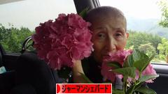 にほんブログ村 犬ブログ ジャーマンシェパードへ