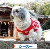 にほんブログ村 犬ブログ シーズーへ