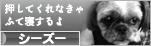 にほんブログ村 犬ブログ シーズーへ