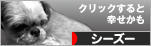 にほんブログ村 犬ブログ シーズーへ