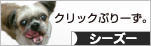 にほんブログ村 犬ブログ シーズーへ
