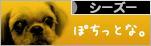 にほんブログ村 犬ブログ シーズーへ