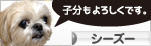 にほんブログ村 犬ブログ シーズーへ