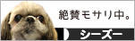 にほんブログ村 犬ブログ シーズーへ