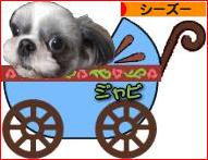 にほんブログ村 犬ブログ シーズーへ