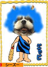 にほんブログ村 犬ブログ シーズーへ