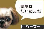 にほんブログ村 犬ブログ シーズーへ